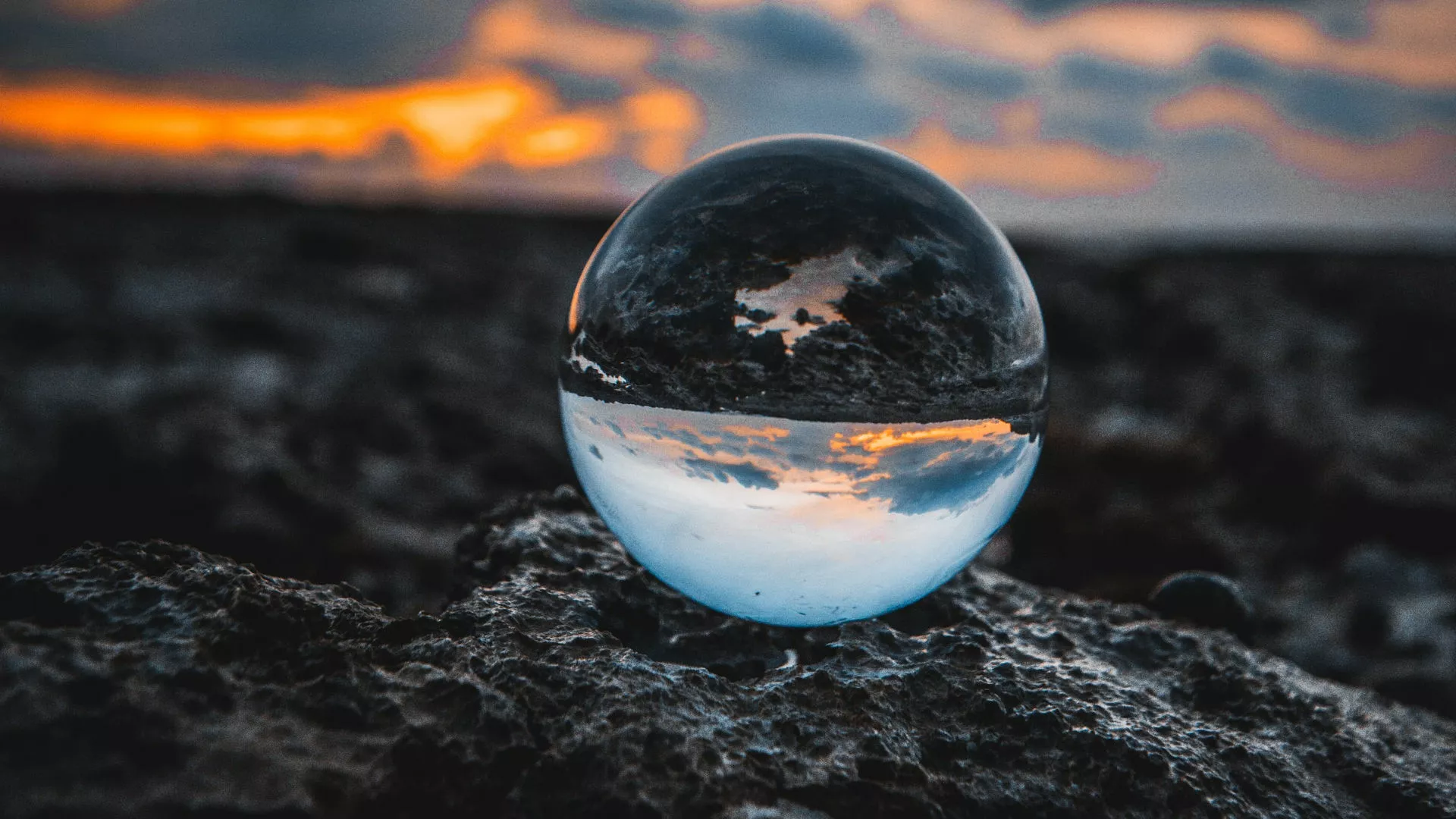 Management & Consultancy